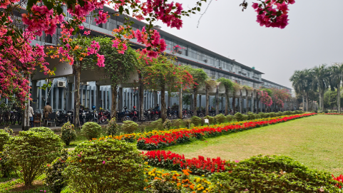 বাকৃবিতে স্নাতক ভর্তি শুরু, প্রথম দিনেই ৪৪৬ শিক্ষার্থী ভর্তি