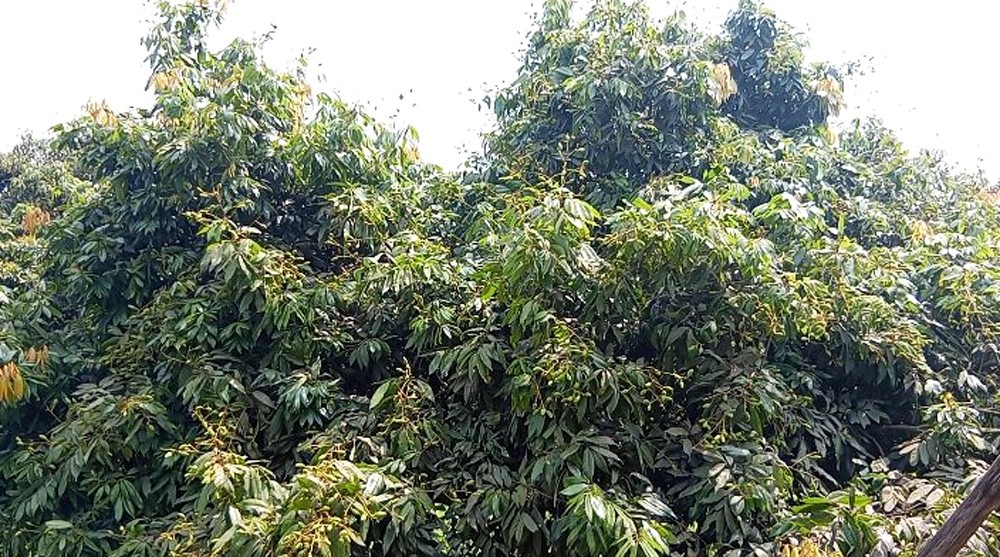 d8146aff-de9d-4c3c-bc90-795b9e58abec