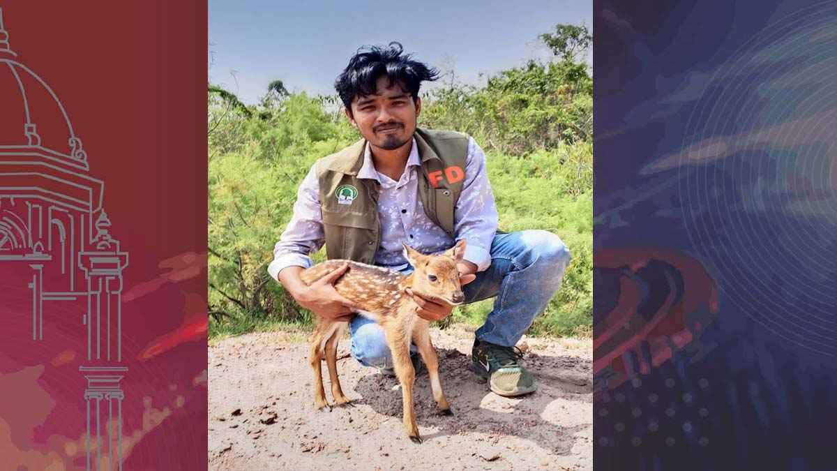 মিরসরাইয়ে হরিণ শাবক উদ্ধার, বনে অবমুক্ত