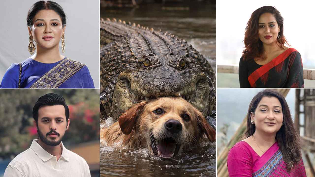 ‘এ দেশে মানুষের চেয়ে অমানুষ বেশি’—বাগেরহাটের ঘটনায় ক্ষোভ তারকাদের