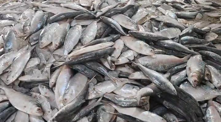 e0e9f3e5-fbed-4671-bd1b-9facab4f380f