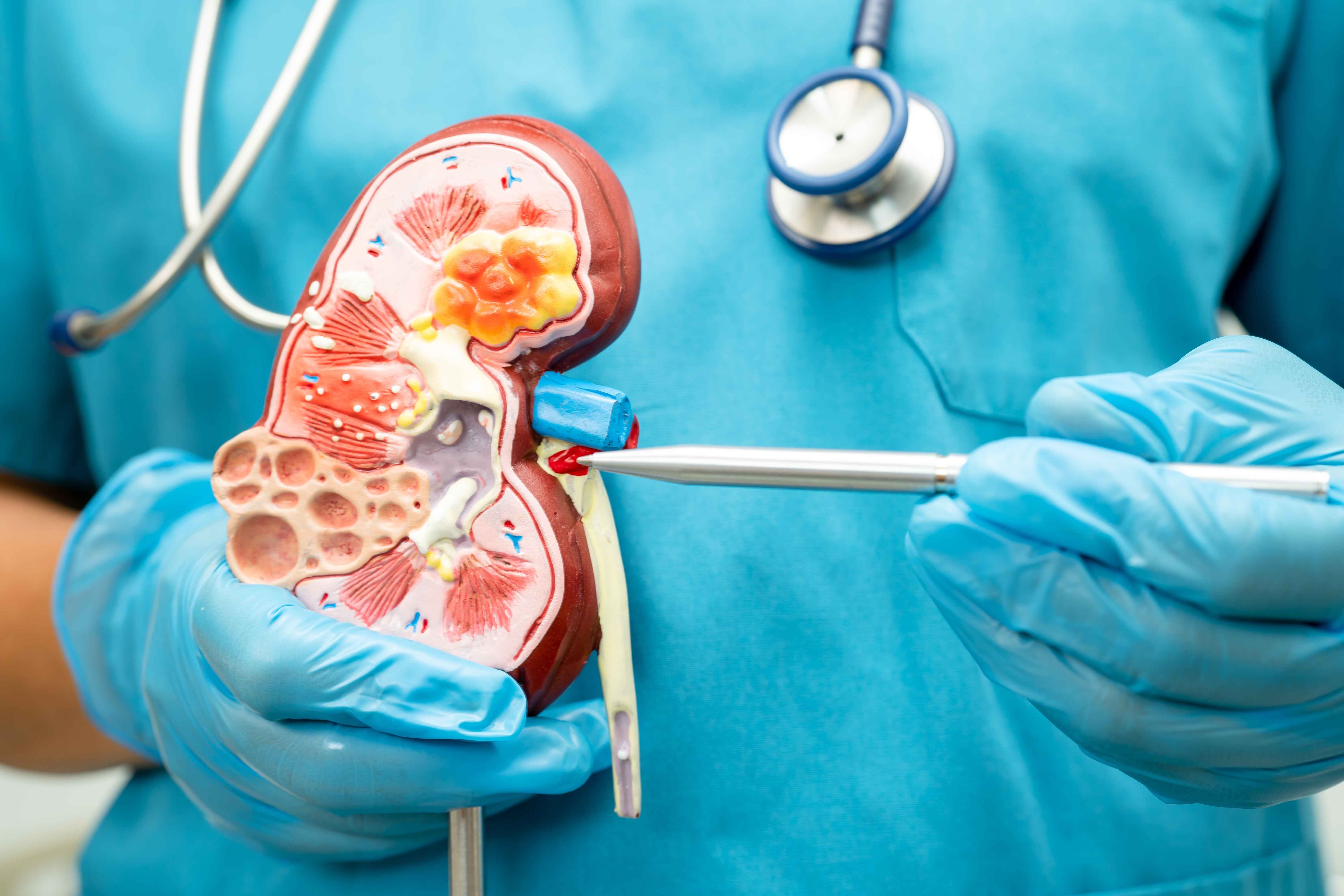 ecaf6068-6143-4f42-8148-5433ad956800 ecaf6068-6143-4f42-8148-5433ad956800