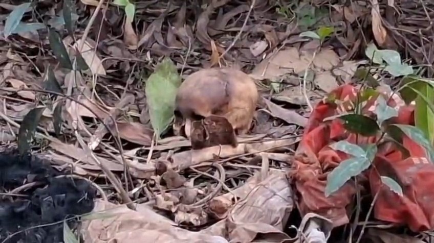 f4424cf3-95a8-4e99-a963-6aa9f194ca94