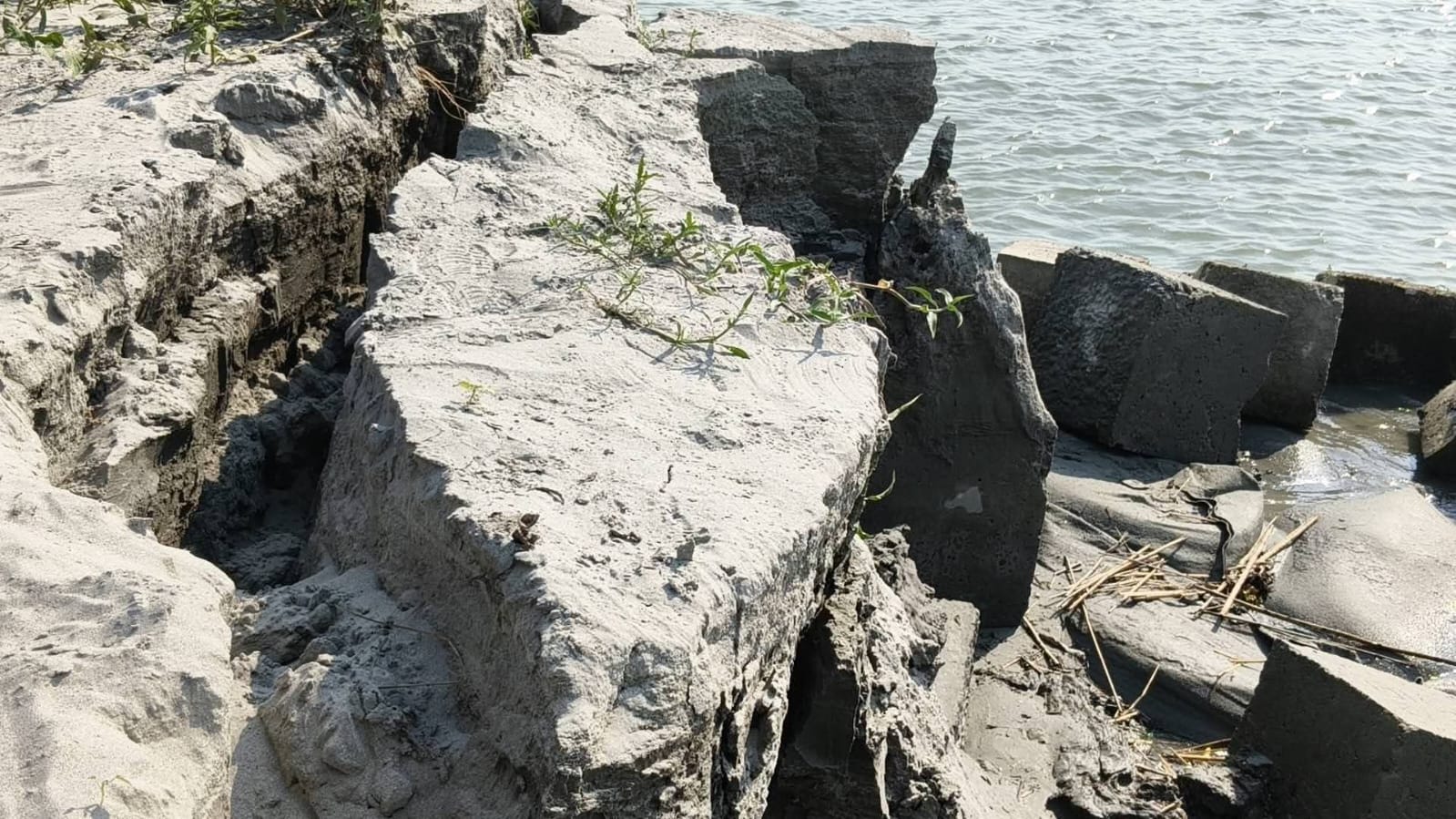 f8fccc02-0765-49f9-a7a2-529dbc9cebde