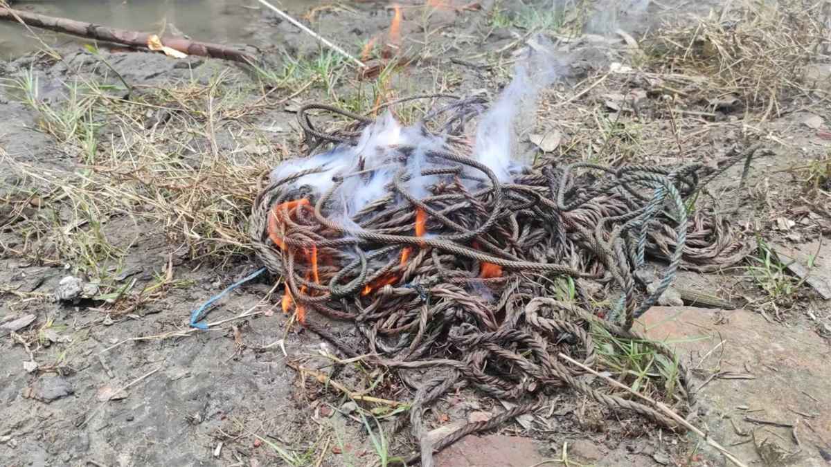 সুন্দরবনে হরিণ শিকারের ২৫ ফাঁদ অপসারণ