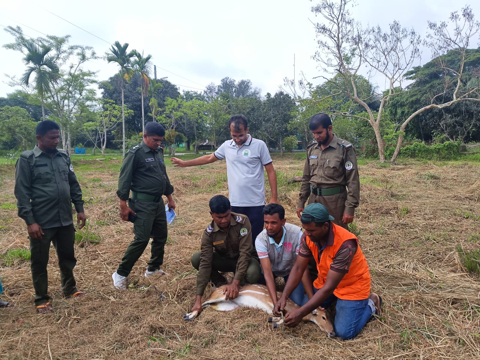 fc19825e-c320-4ffd-ab48-2d601d2c4dab