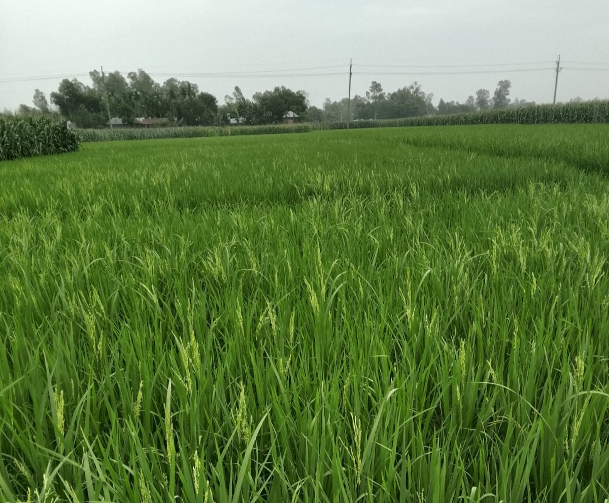 fd5830a7-49b3-4805-bc1a-e853d36c4279