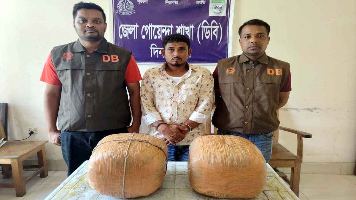 দিনাজপুরে ১০ কেজি গাঁজাসহ মাদক কারবারি গ্রেফতার