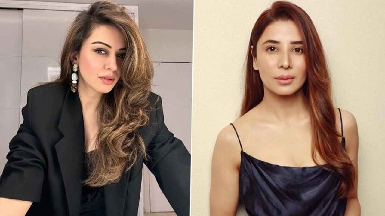 ভাইয়ের প্রাক্তন স্ত্রীর বিরুদ্ধে ২ কোটির মানহানি মামলা অভিনেত্রীর