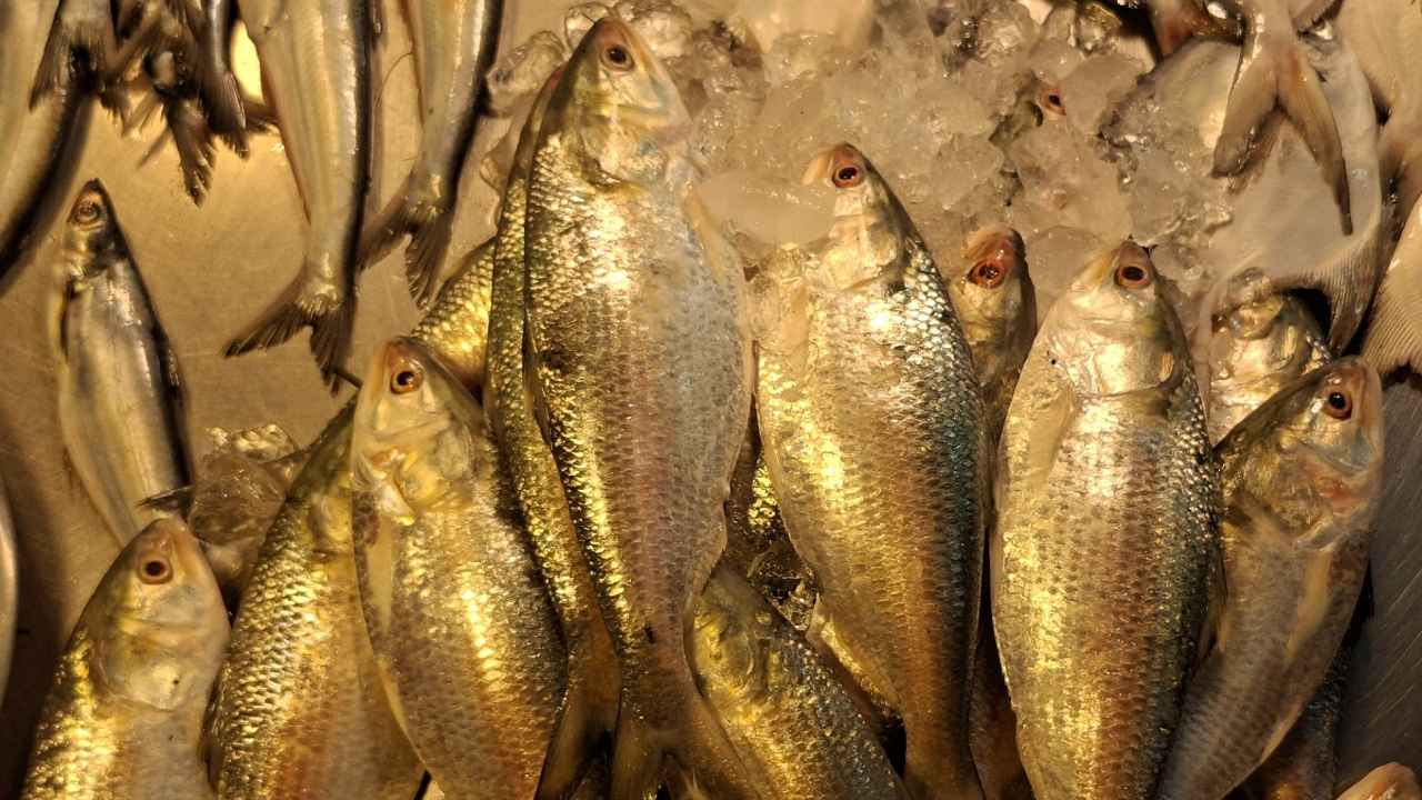পহেলা বৈশাখকে সামনে রেখে বাড়ছে ইলিশের দাম, মাংসের দামও চড়া