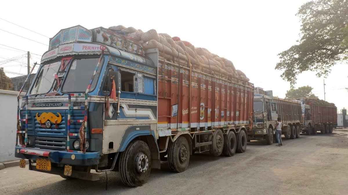 রেড গ্রাসের নামে ভারত থেকে ৮ কোটি টাকা মূল্যের জাফরান আমদানি