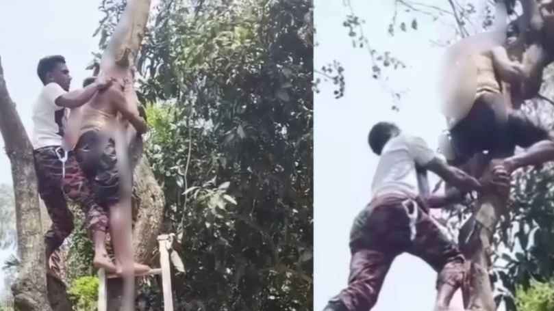 ডাল কাটতে গাছের আগায় উঠে অচেতন শ্রমিক, উদ্ধারে ফায়ার সার্ভিস