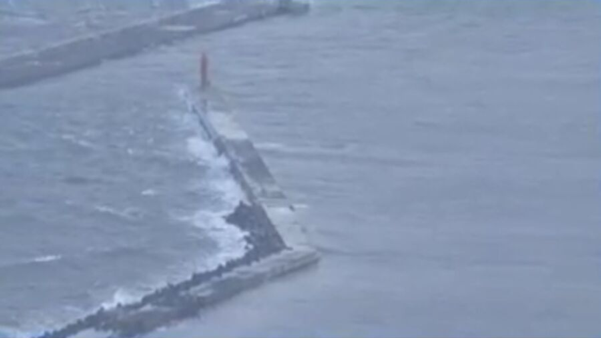 জাপানে ৮০ সেন্টিমিটার উচ্চতার সুনামির আঘাত