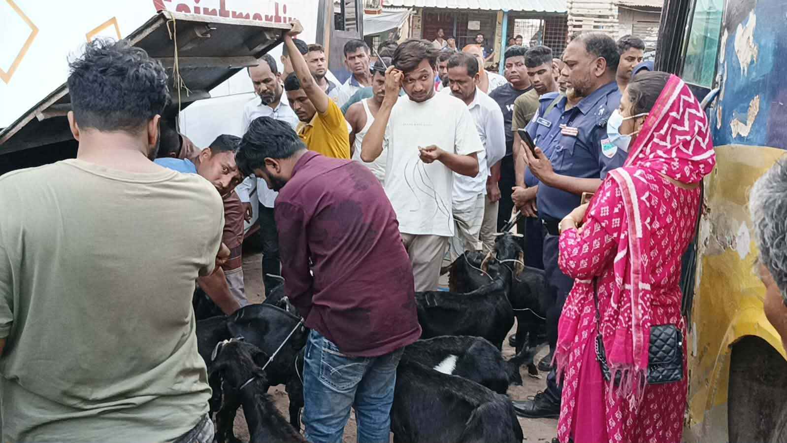 ঝিনাইদহে বাসের বক্সে ছাগল বহন, ৫০ হাজার টাকা জরিমানা