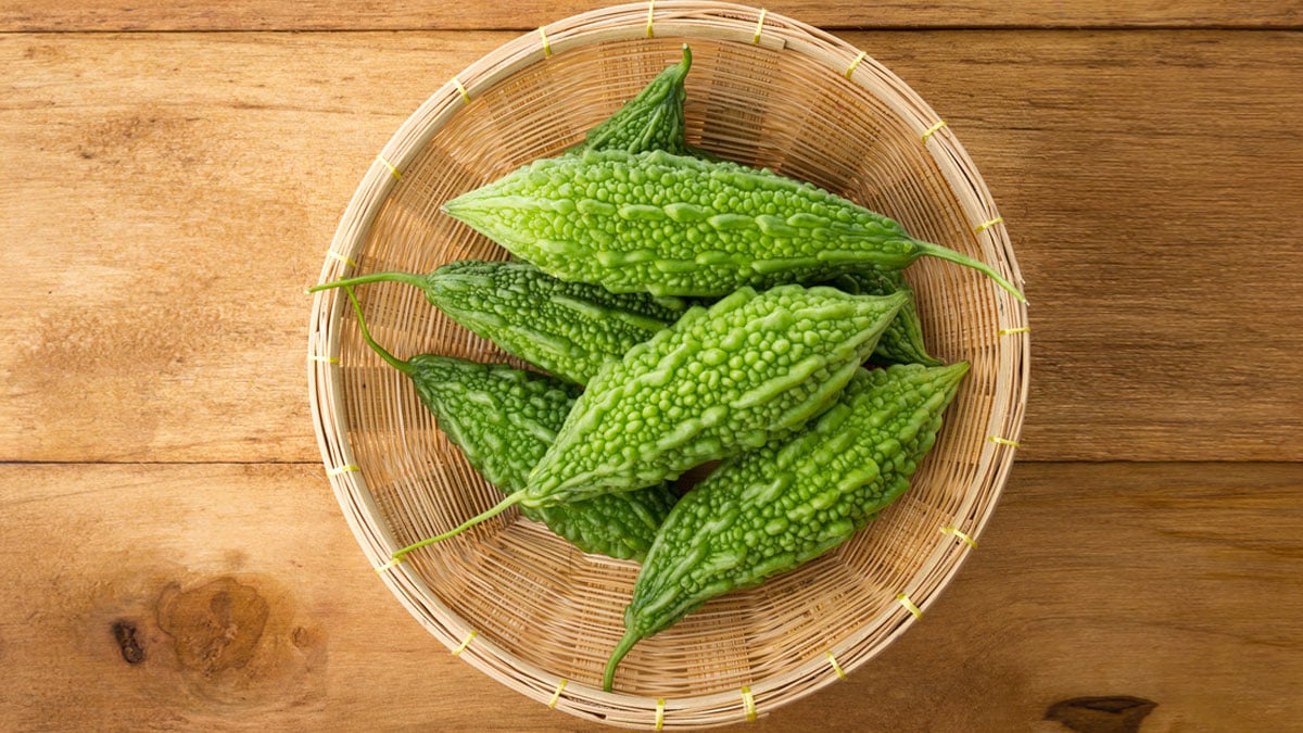 korola-1-20230830133606