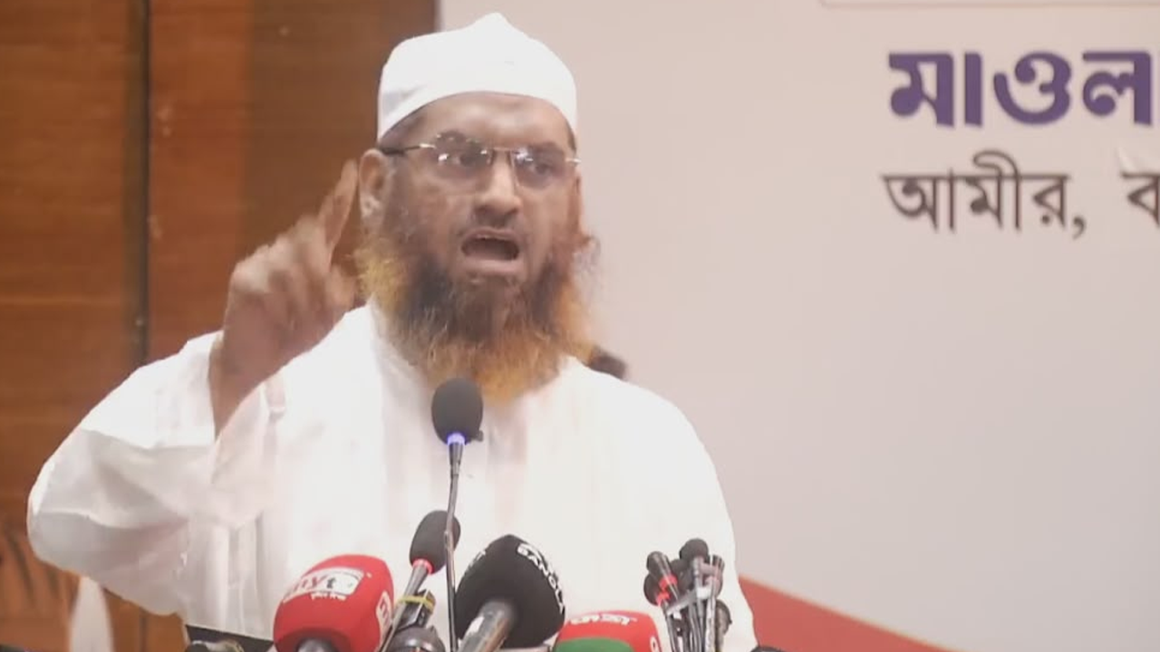 সরকারের ঘাড়ে ‘শেখ হাসিনার ভূত’ চেপেছে: মামুনুল হক