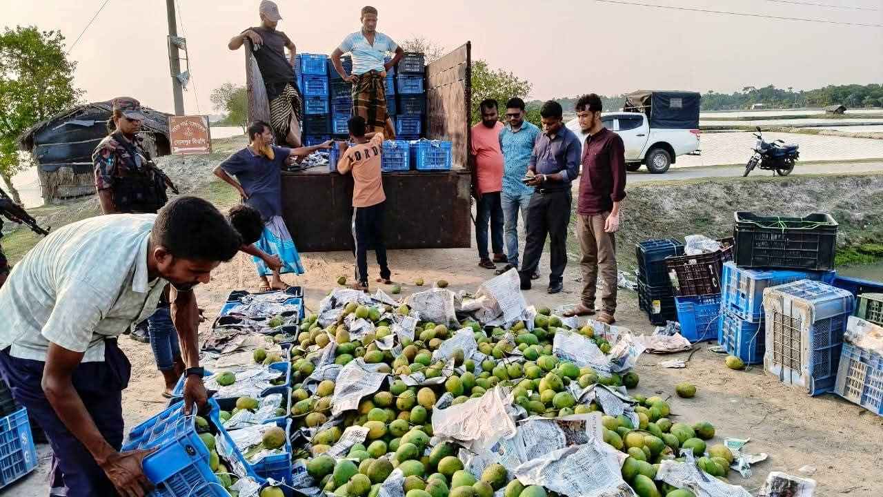 সাতক্ষীরা যৌথ বাহিনীর অভিযানে রাসায়নিক মিশ্রিত আম জব্দ, ধ্বংস