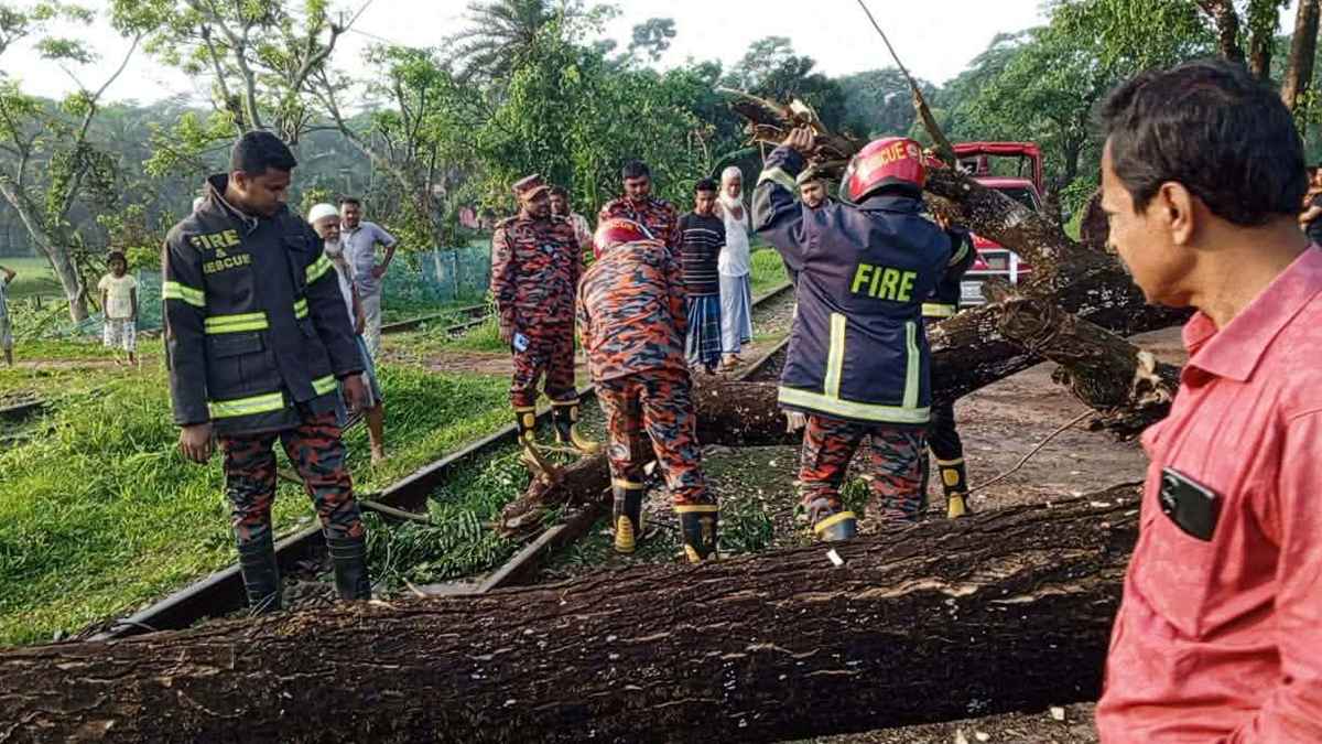 নোয়াখালীতে রেল লাইনে গাছ পড়ে উপকূল এক্সপ্রেস আটকা, ২ ঘণ্টা পর চালু