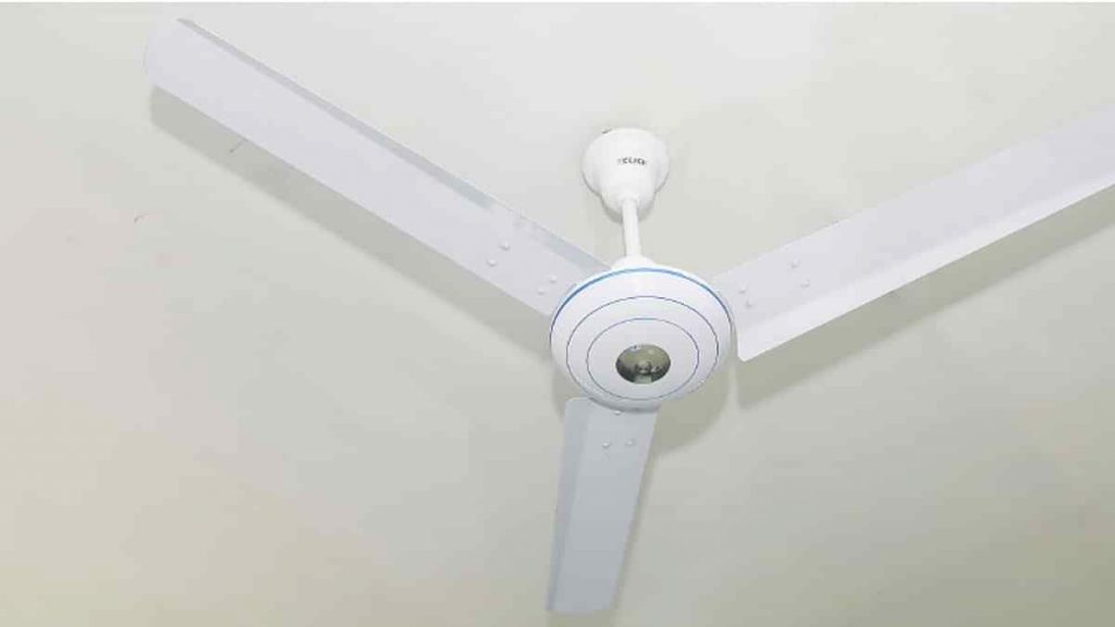 prothomalo_import_media_2019_03_20_bb4ea3fdd74142c6a2ff18ad31e825a8-5c91d37b63429-1024x576