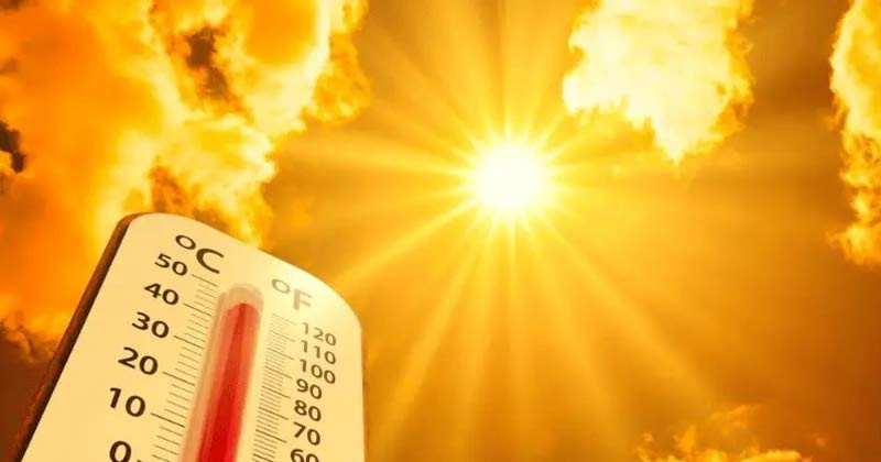 rajsahi-20260404200211 rajsahi-20260404200211