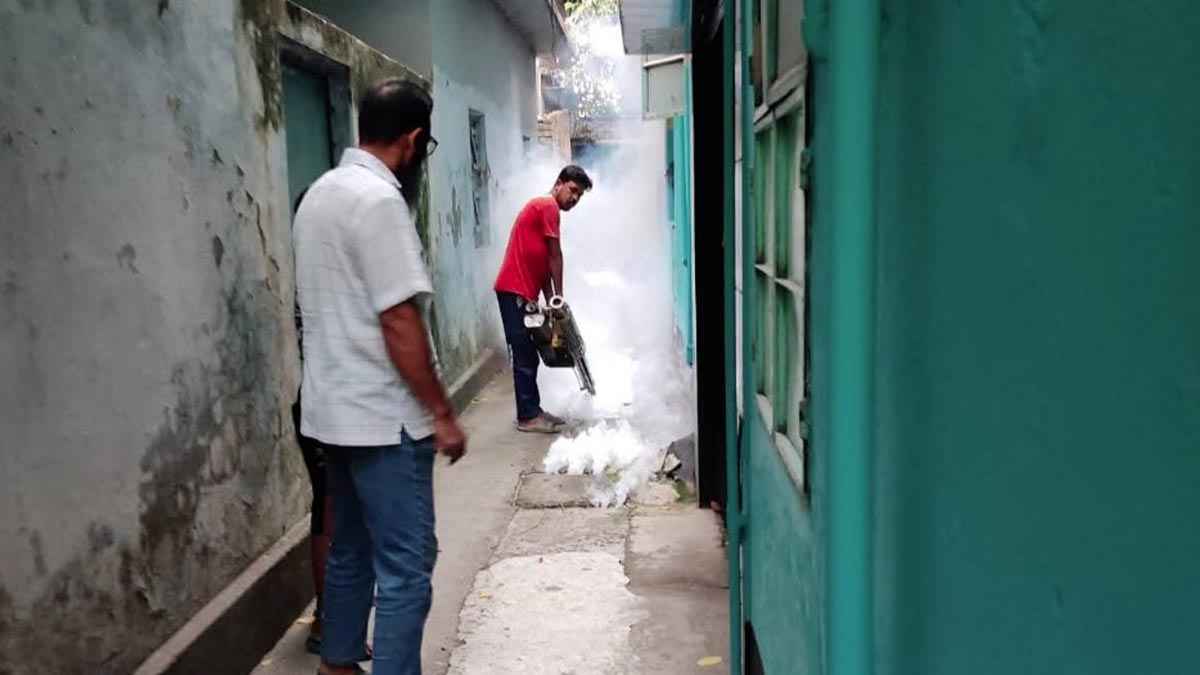 রাসিকে জোরদার মশা নিয়ন্ত্রণ কার্যক্রম