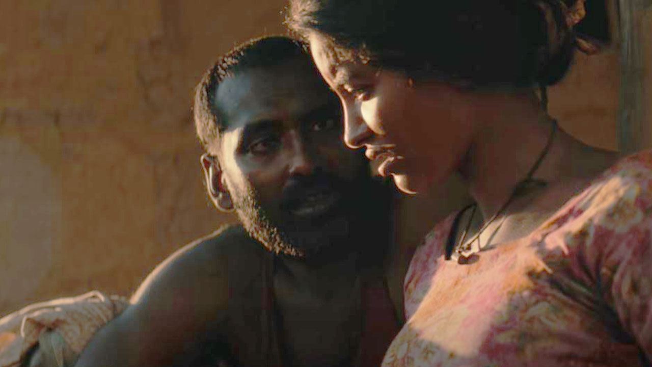 roid-tushi-20251217181342_20260205_204446555_20260406_175840489