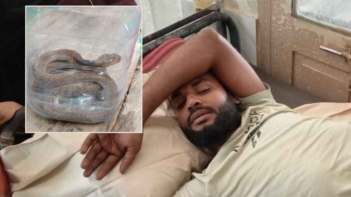 ফরিদপুরে জীবন্ত সাপ নিয়ে হাসপাতালে যুবক