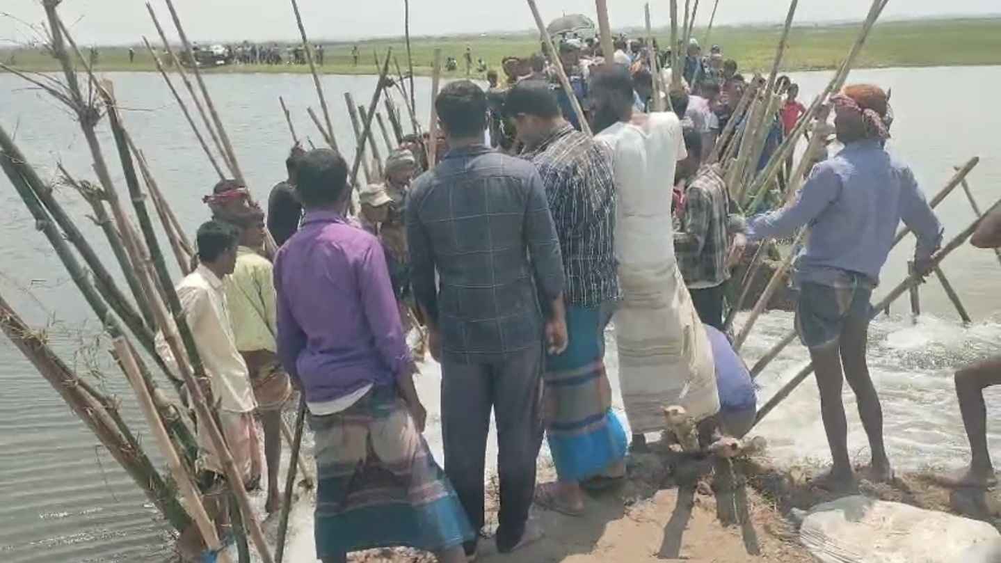 সুনামগঞ্জে বাঁধ ভেঙে ফসলের ক্ষতি, হাজারও কৃষকের চেষ্টায় বাঁধ মেরামত