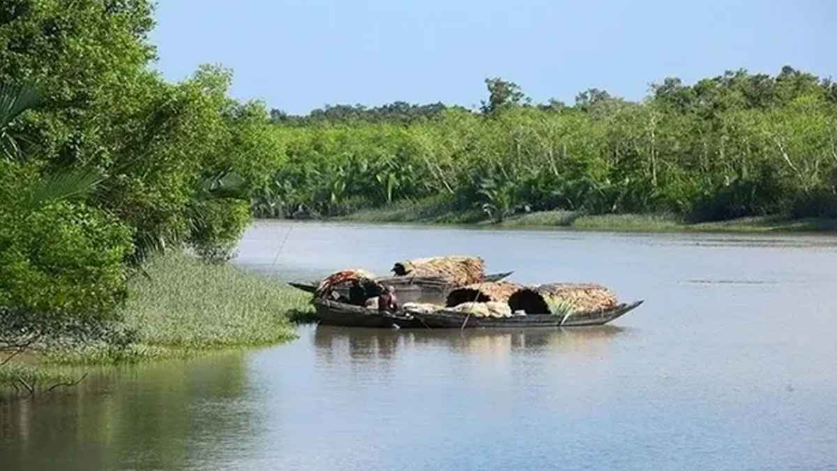 দেড় বছরে ৬১ বনদস্যু গ্রেফতার, তবুও সুন্দরবনে কাটেনি আতঙ্ক