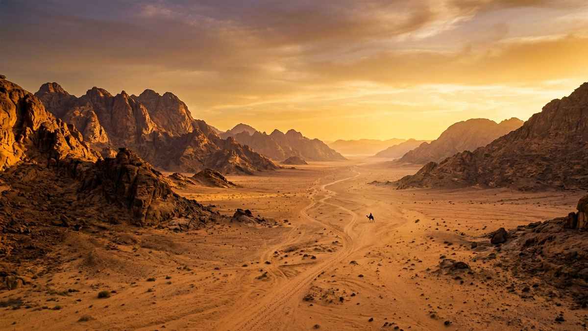 হজের পথে উসফান উপত্যকা: নবীদের পদচারণায় ধন্য