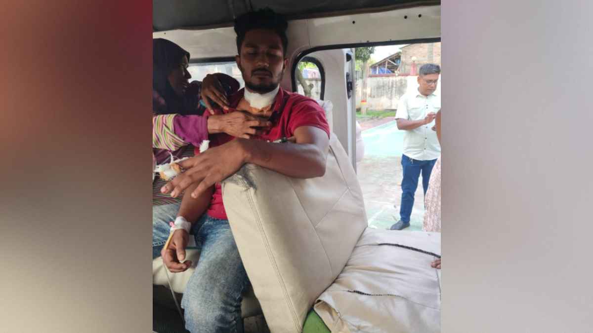 নানার সম্পত্তির ভাগ চাওয়ায় দুজনকে কুপিয়ে জখম