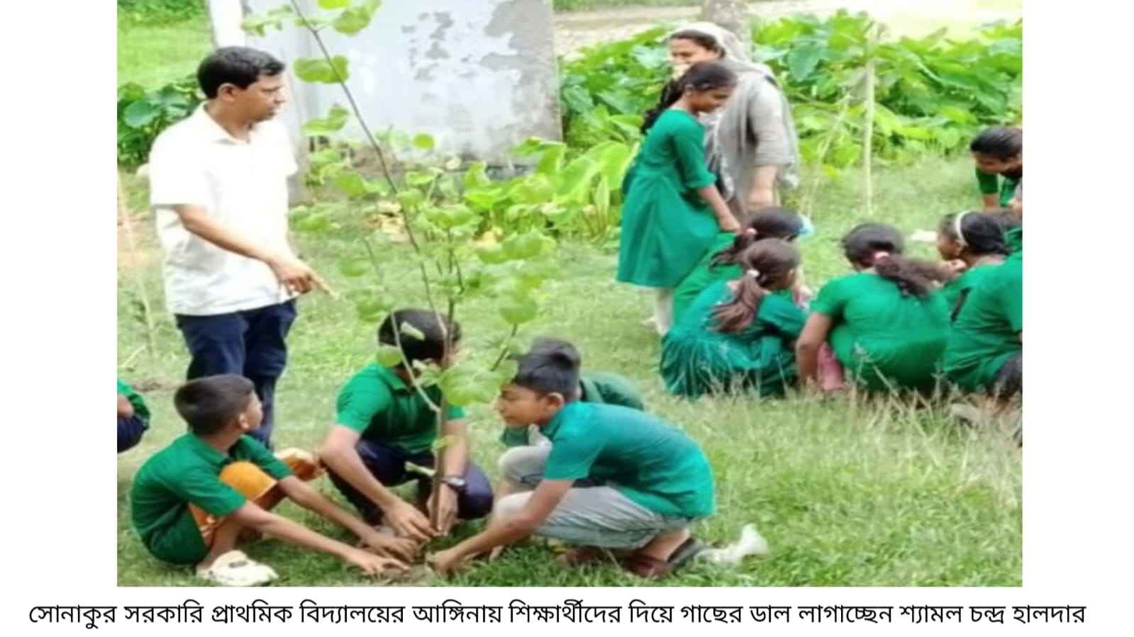 গাছের চারার বদলে ডাল পুঁতে বৃক্ষরোপণ, প্রধান শিক্ষক সাময়িক বরখাস্ত