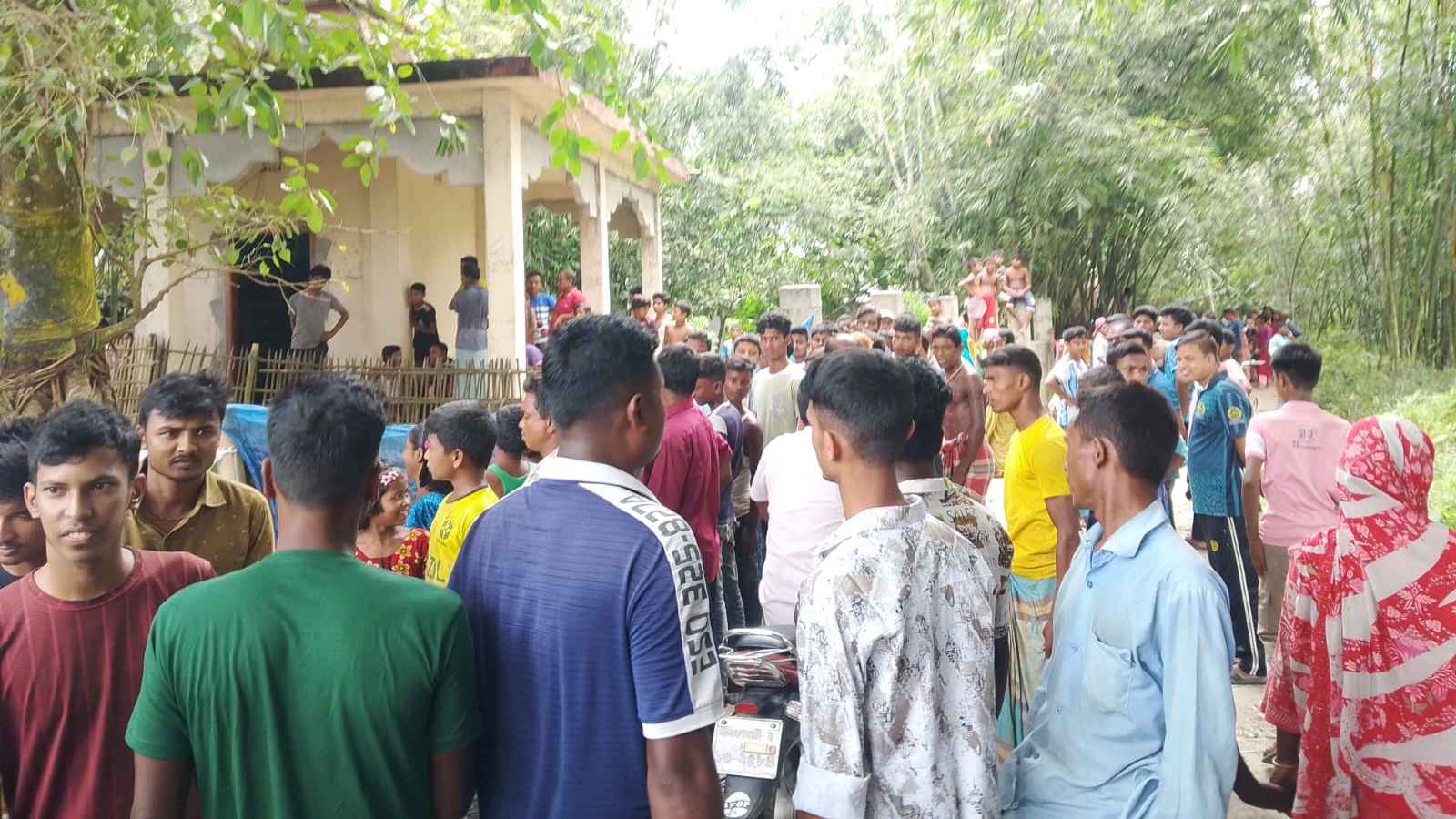 নীলফামারীতে সাপের কামড়ে শিশুসহ দুজনের মৃত্যু