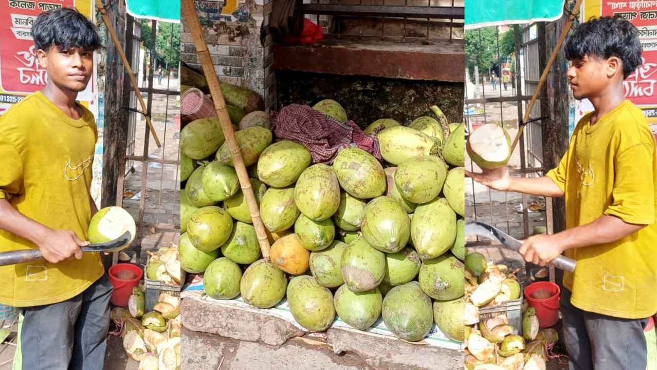 ব্রাহ্মণবাড়িয়ায় মাসে দেড় কোটি টাকার ডাব বেচাকেনা, বাড়ছে ব্যবসার পরিধি