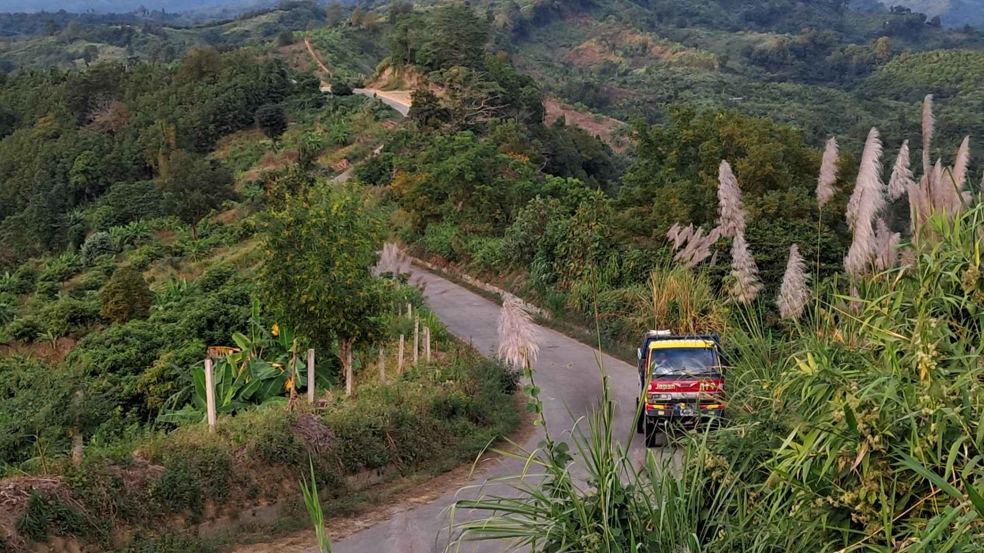 বান্দরবানের থানচিতে জিপ উল্টে নিহত ১, আহত ৩
