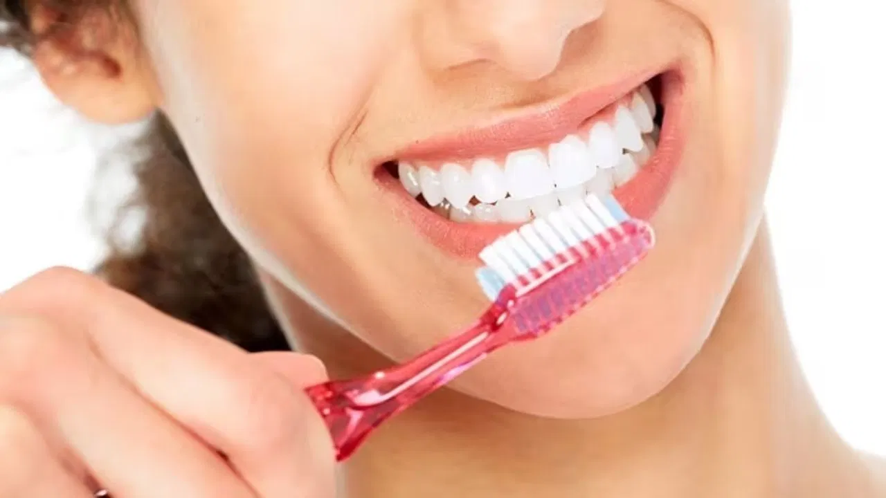 Brush Brush