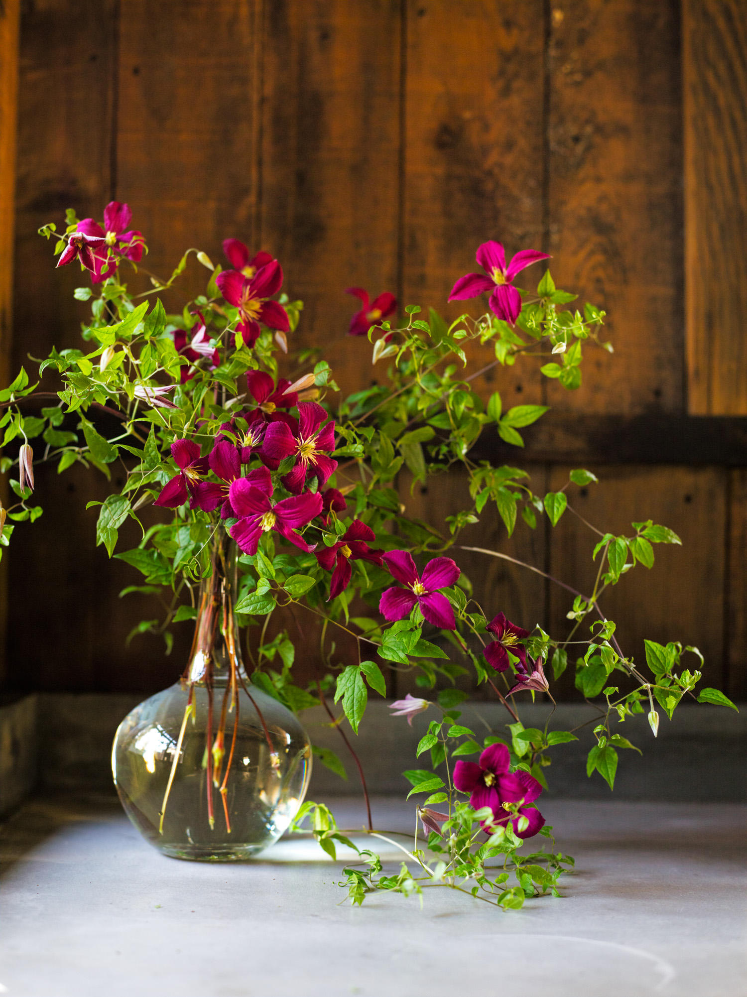 FLOWERS_1