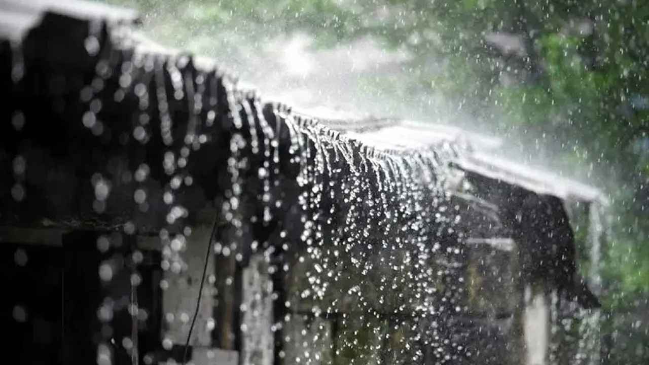দেশজুড়ে পাঁচদিন বৃষ্টির সম্ভাবনা, শনিবার-রোববার ভারী বর্ষণের আভাস