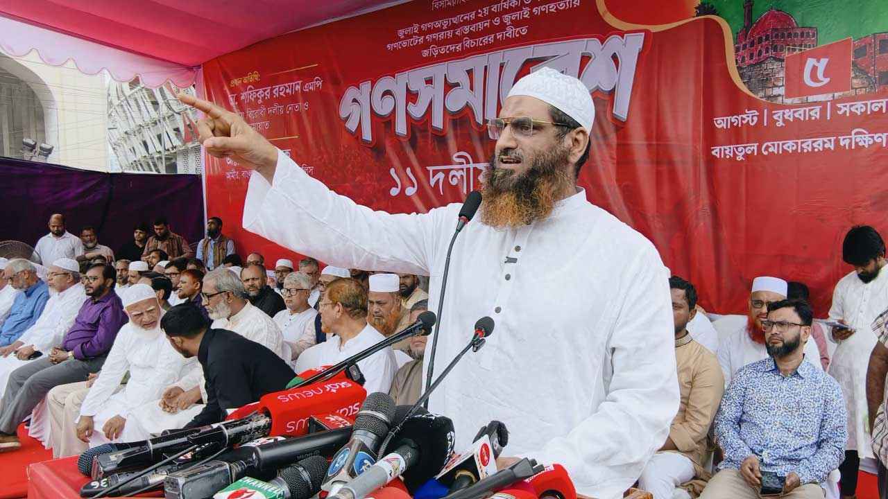 প্রয়োজনে আবার মাদরাসাগুলো থেকে ‘আবাবিল’ রাজপথে নেমে আসবে: মামুনুল হক