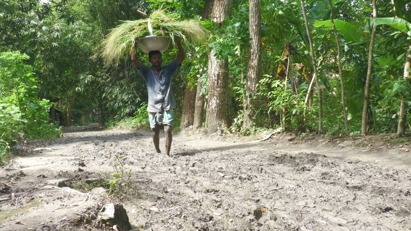 Madaripur_Mostafapur_Road_1