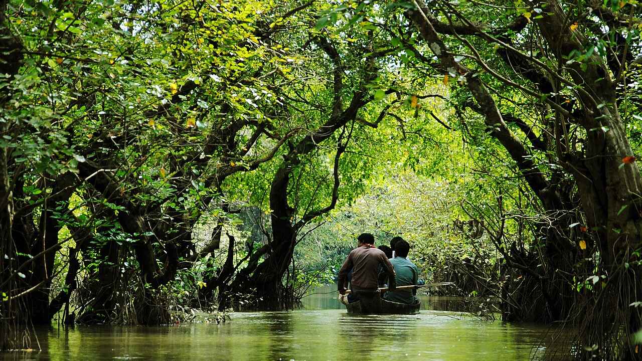 এই বর্ষায় ঘুরতে যেতে পারেন দেশের সেরা ৫ টুরিস্ট স্পটে