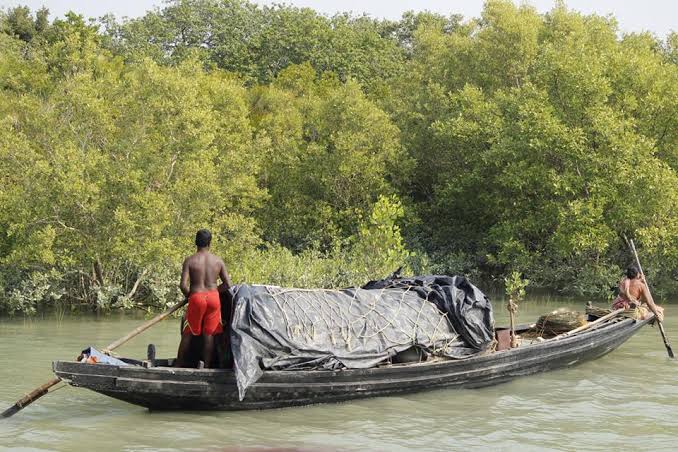 Sundarban