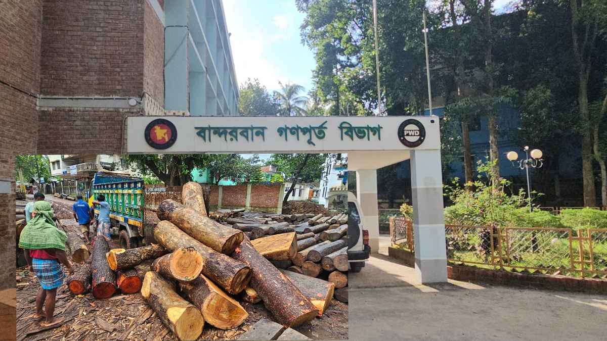 বান্দরবানে গণপূর্ত বিভাগের কার্যালয়ে গাছ কাটার অভিযোগ