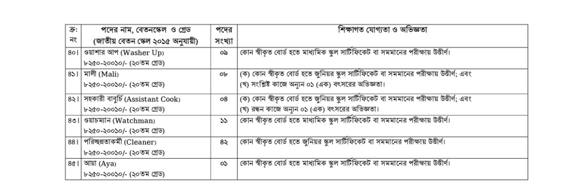 biman_4.jpg