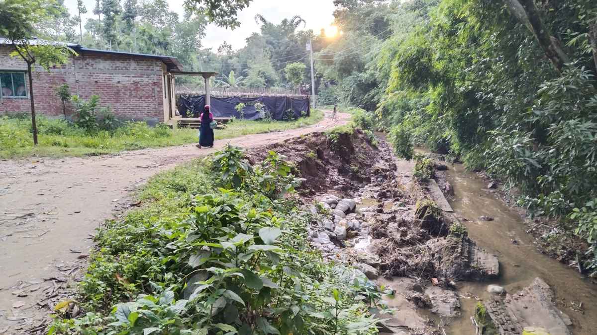 মহেশখালীতে ২২ কোটি টাকার সড়ক প্রকল্প, বন বিভাগের আপত্তিতে কাজ বন্ধ