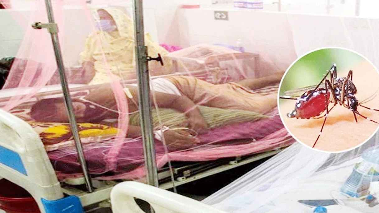 ডেঙ্গুতে একজনের মৃত্যু, হাসপাতালে ভর্তি ৮৭০