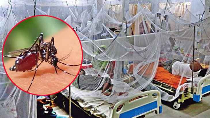 ডেঙ্গুতে মৃত্যুহীন দিনে হাসপাতালে ভর্তি আরও ৭০২