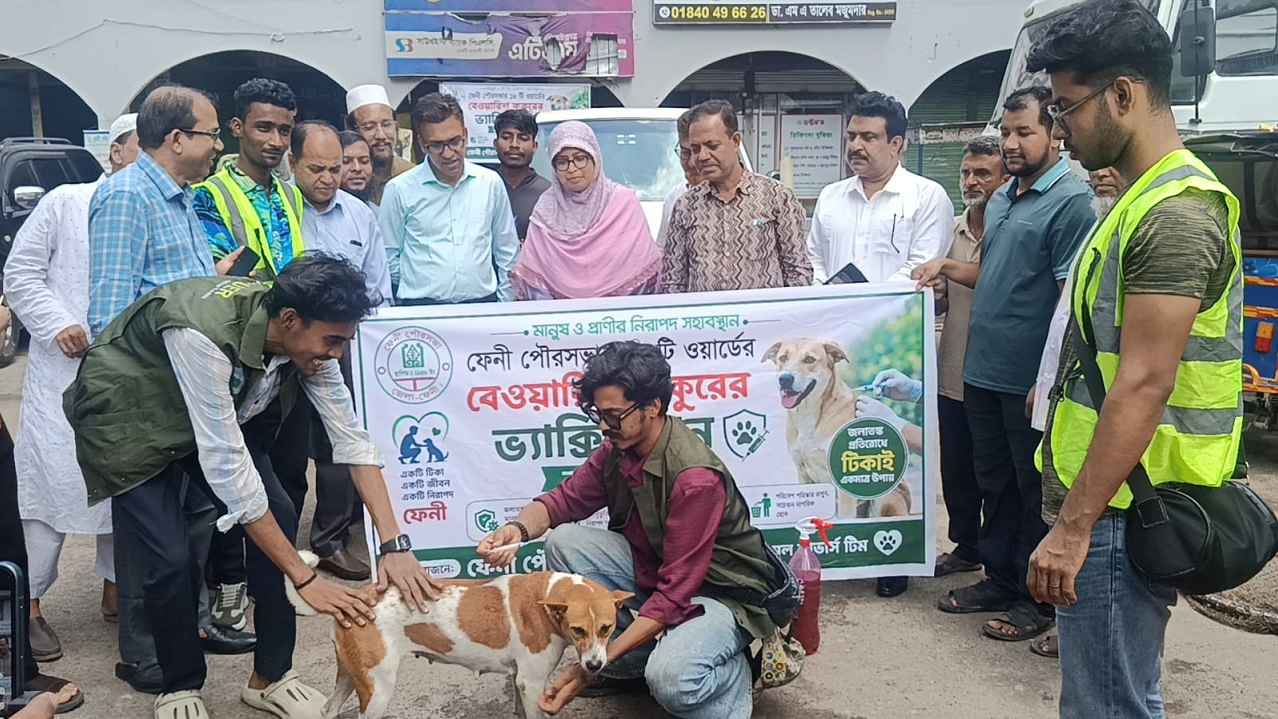 ফেনী পৌরসভায় ৬৫০ বেওয়ারিশ কুকুরকে টিকাদান শুরু