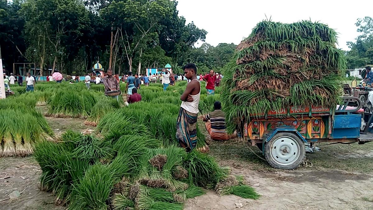 farmar_2