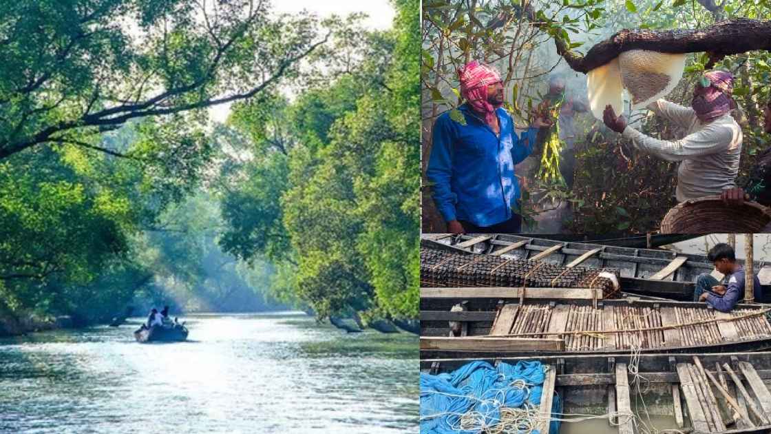খুলছে সুন্দরবন, বনজীবীদের প্রস্তুতির সঙ্গে বনদস্যুর আতঙ্ক